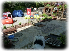 Landseer Welpen Spielplatz 10.png