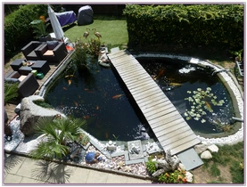 Landseer Welpen Spielplatz 1.png