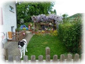Landseer Welpen Spielplatz 25.png