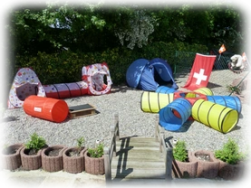 Landseer Welpen Spielplatz 27.png