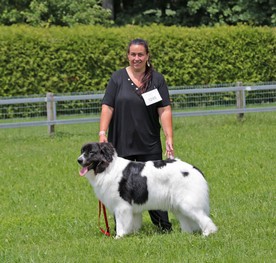 9V0A8386 - Kopie.JPG