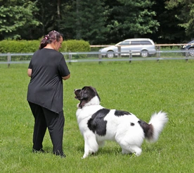 9V0A8404 - Kopieren.png