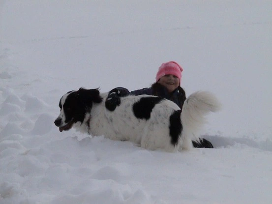 Landseer Tyra 22.jpg