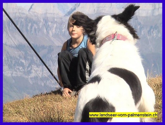 Landseer Tyra 37.jpg