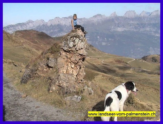 Landseer Tyra 41.jpg